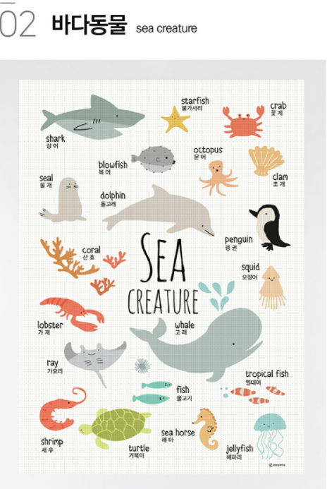 Waterproof kids education poster - Sea Creatures - COCONANA